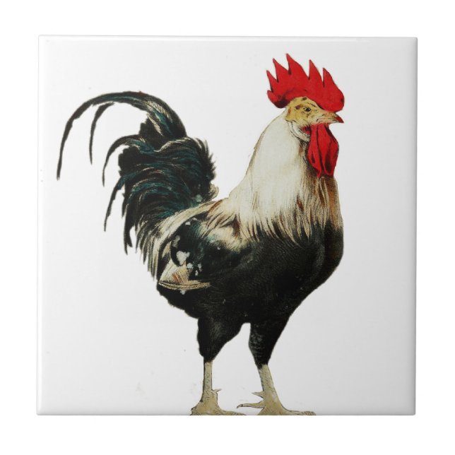 Vintage Rooster Chicken Customize Animal best Tile (Front)
