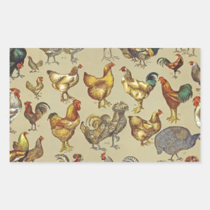 Vintage Rooster Chicken Pattern: Farmhouse Art Sticker