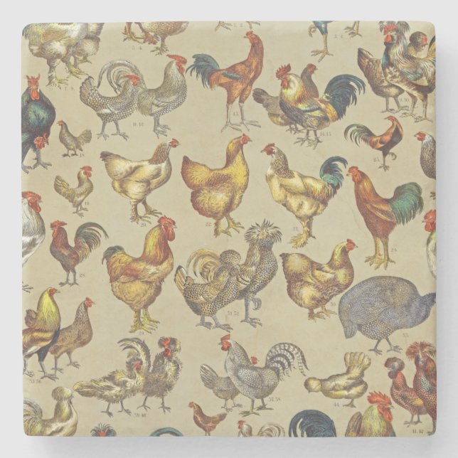 Vintage Rooster Chicken Pattern: Farmhouse Art Stone Coaster (Front)