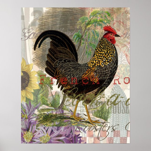 Vintage Rooster French Collage Art Poster (Front)