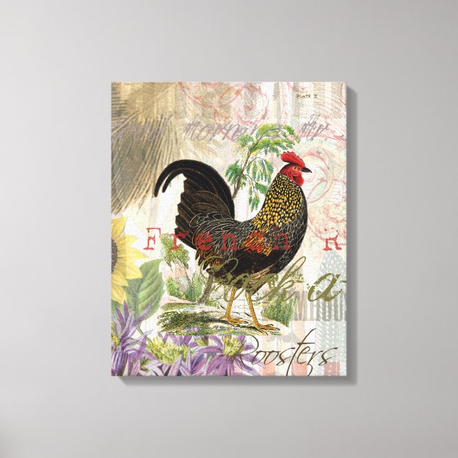 Vintage Rooster French Collage Farm Pet Canvas Print (Front)