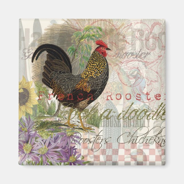 Vintage Rooster French Collage Farm Pet Magnet (Front)