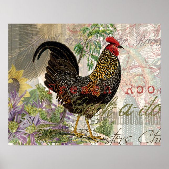 Vintage Rooster French Collage Farm Pet Poster (Front)