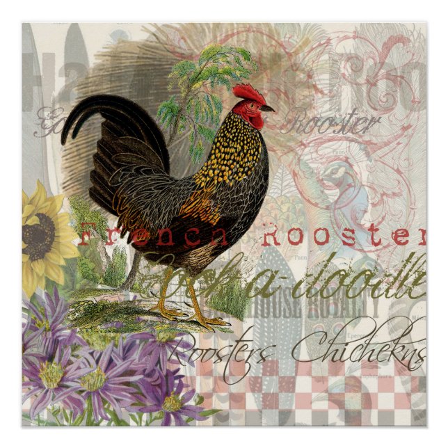 Vintage Rooster French Collage Farm Pet Poster (Front)