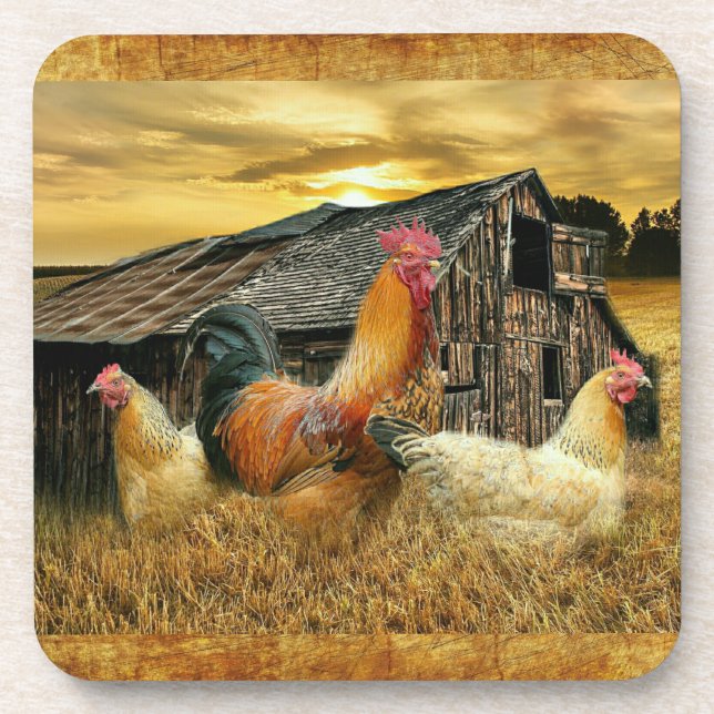 Vintage Rooster Hens Rustic Barn Coop Coaster (Front)