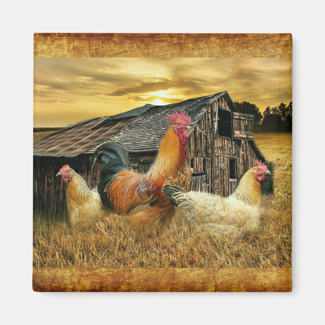 Vintage Rooster Hens Rustic Barn Coop Magnet (Front)