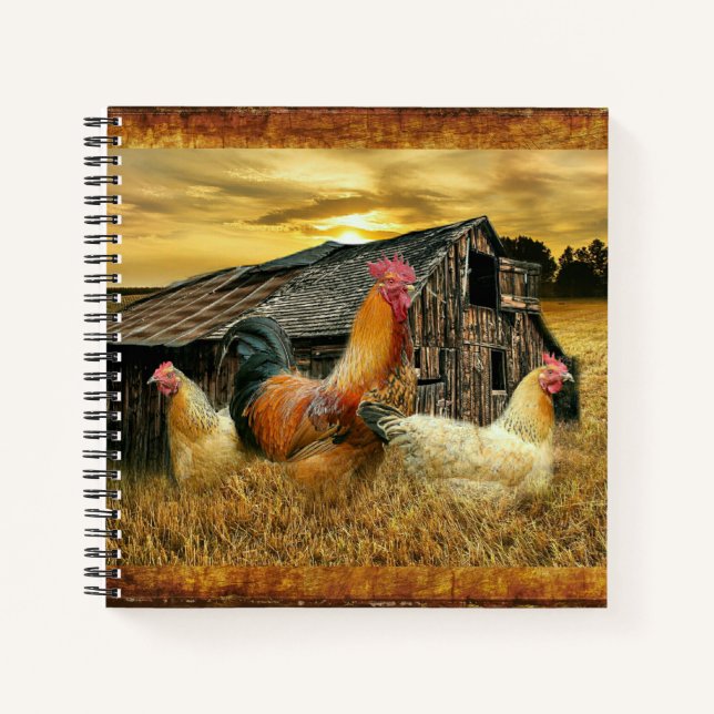 Vintage Rooster Hens Rustic Barn Coop Notebook (Front)