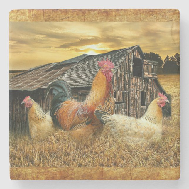 Vintage Rooster Hens Rustic Barn Coop Stone Coaster (Front)