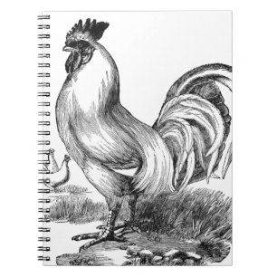 Vintage rooster illustration notebook
