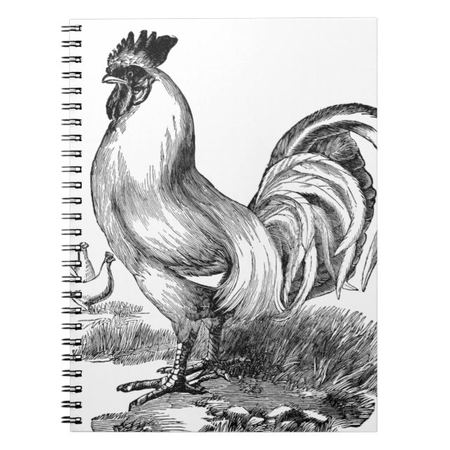 Vintage rooster illustration notebook (Front)