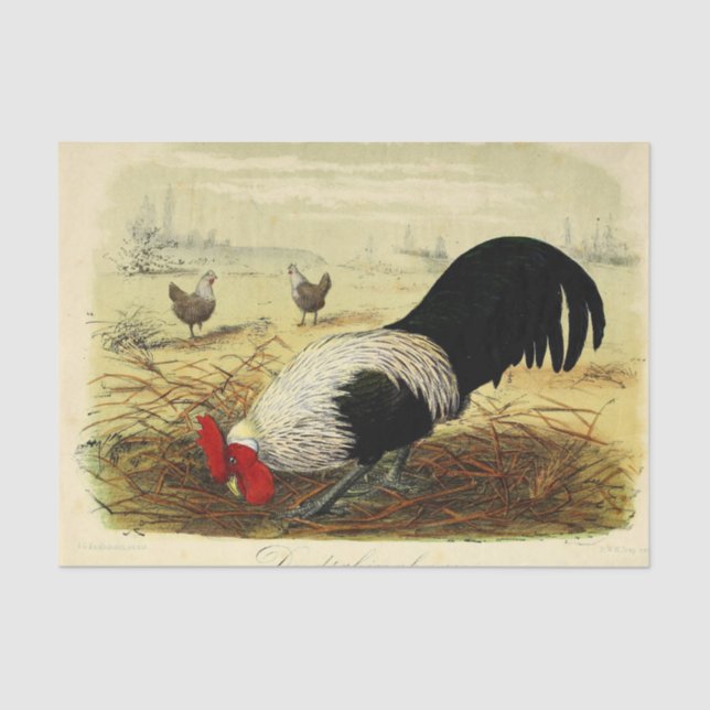 Vintage rooster party or craft tissue paper (Front)