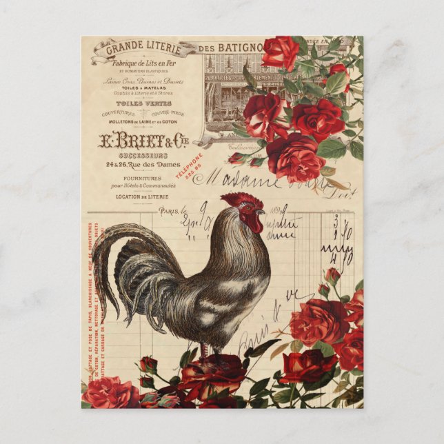 Vintage Rooster Postcard (Front)