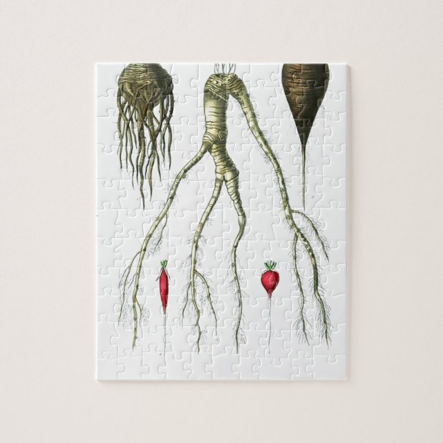 Vintage Root Vegetables Botanical Print Jigsaw Puzzle (Vertical)