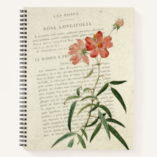 Vintage Rosa Longifolia Notebook