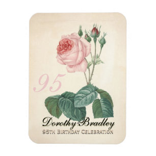 Vintage Rose 95th Birthday Celebration - Magnet