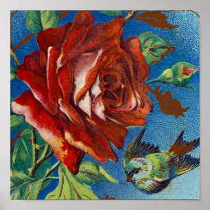 Vintage Rose and Bird Poster