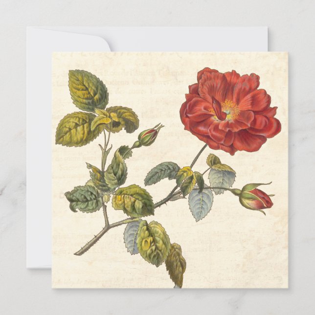 Vintage Rose Botanical Birthday Garden Party Invitation (Front)