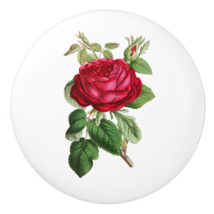 Vintage Rose Burgundy Decorative Ceramic Knob