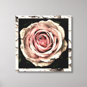 Vintage Rose Canvas Print