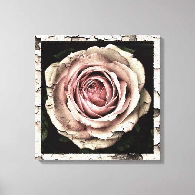 Vintage Rose Canvas Print (Front)