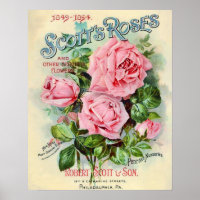 Vintage Rose Flower Catalogue Cover Illustration