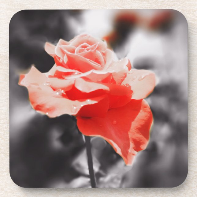 Vintage Rose Flowers #2 Coaster (Front)