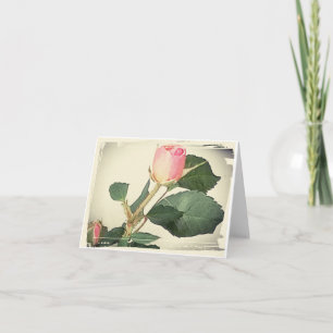 Vintage rose folded note cards