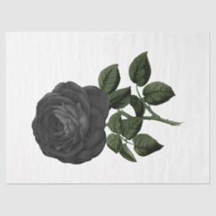 Vintage Rose Series Design 31 Tissue Paper