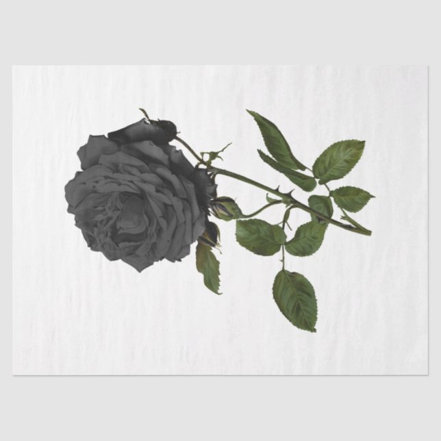 Vintage Rose Series Design 39 Tissue Paper (Front)