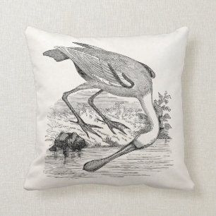 Vintage Roseate Spoonbill Bird - Tropical Birds Throw Pillow