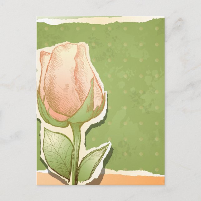 Vintage rosebud in green, postcard (Front)