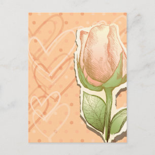 Vintage rosebud, postcard