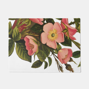 Vintage Roses Beautiful Pink Botanical Doormat