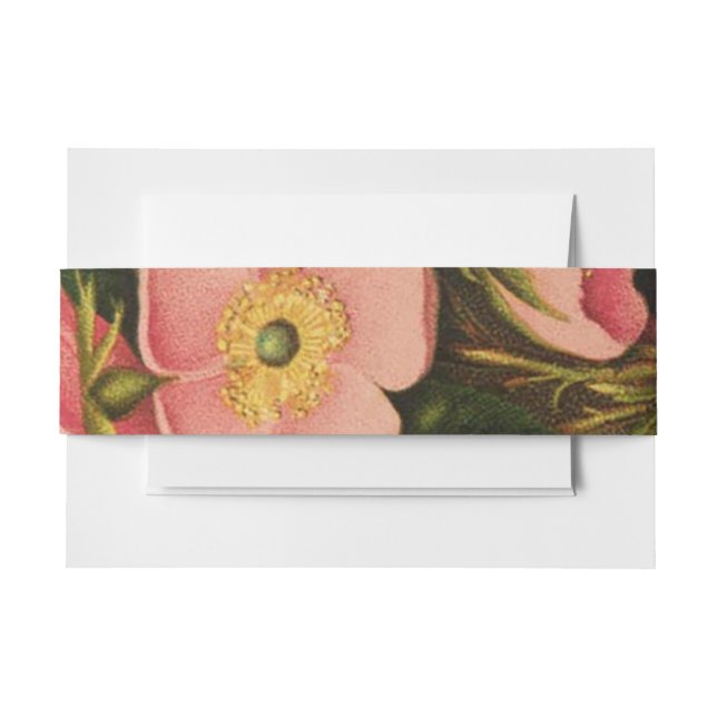 Vintage Roses Beautiful Pink Botanical Invitation Belly Band (Front Example)
