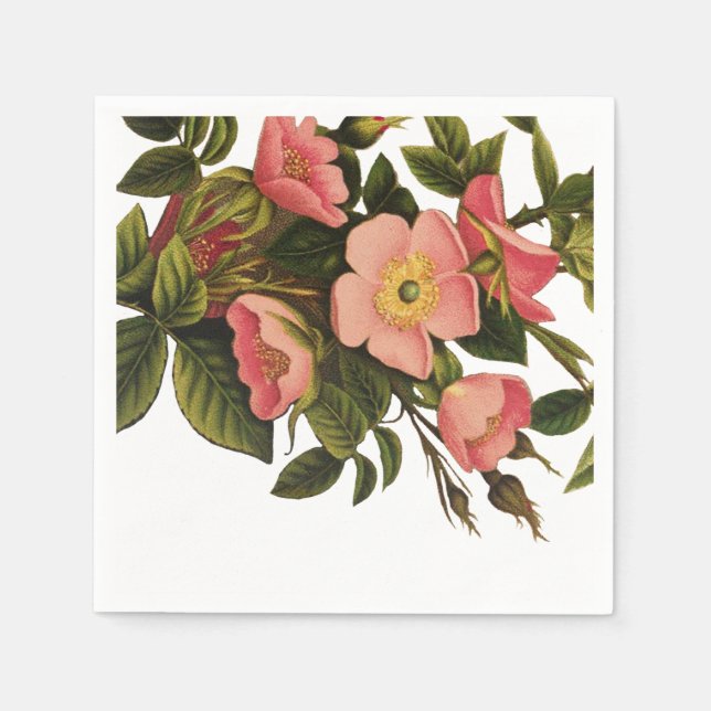 Vintage Roses Beautiful Pink Botanical Napkin (Front)