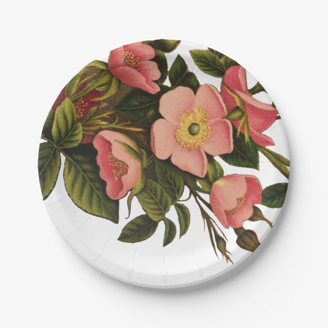 Vintage Roses Beautiful Pink Botanical Paper Plate (Front)