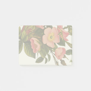 Vintage Roses Beautiful Pink Botanical Post-it Notes