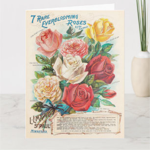 Vintage Roses Colourful Beautiful Ephemera Greetin Card