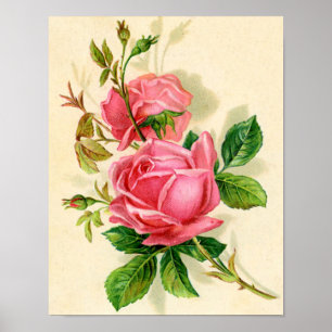 vintage roses poster