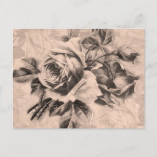 Vintage Roses Sepia Postcard