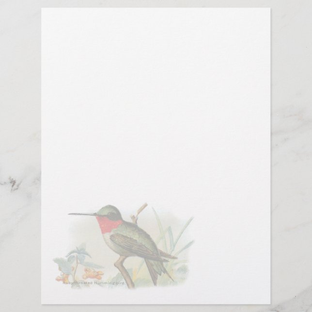 Vintage Ruby Throated Humming Bird Letterhead (Front)