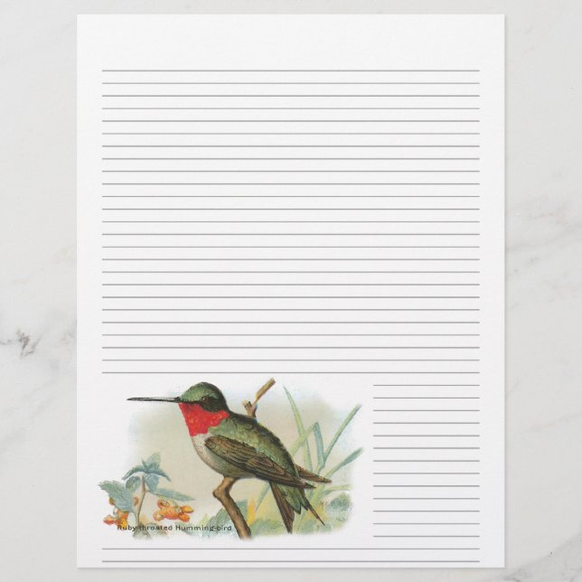 Vintage Ruby Throated Hummingbird Lined Letterhead (Front)