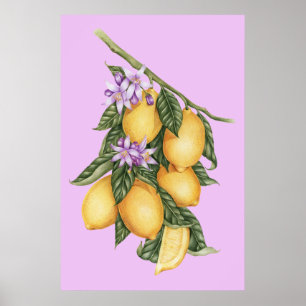 Vintage Rustic Lemons Summer Botanical Poster