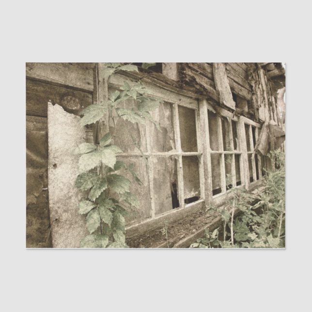 Vintage Rustic Old Wood Barn Windows Tissue Paper (Front)