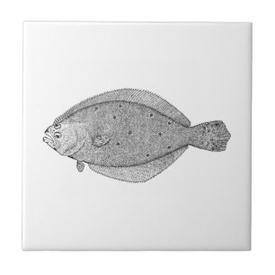 Vintage Saltwater Fish (Summer Flounder) Tile