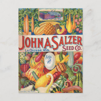Vintage Salzer Seed Catalogue Vegetables Postcard