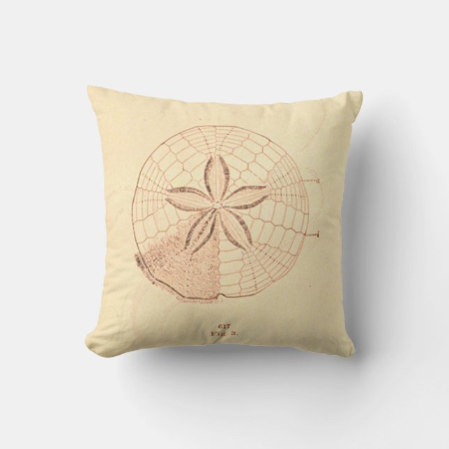 Vintage Sand Dollar Beach Illustration Throw Pillow (Front)