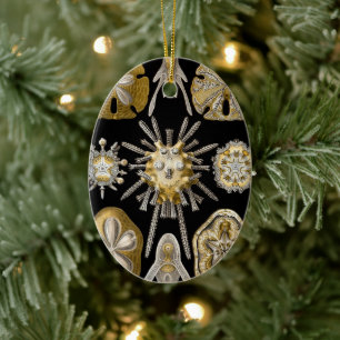 Vintage Sand Dollars Sea Urchins by Ernst Haeckel Ceramic Ornament