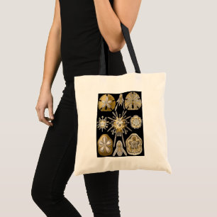 Vintage Sand Dollars Sea Urchins by Ernst Haeckel Tote Bag