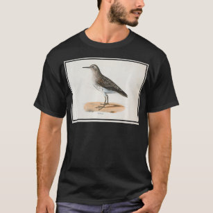 Vintage Sandpiper Bird Illustration (1842) queen  T-Shirt